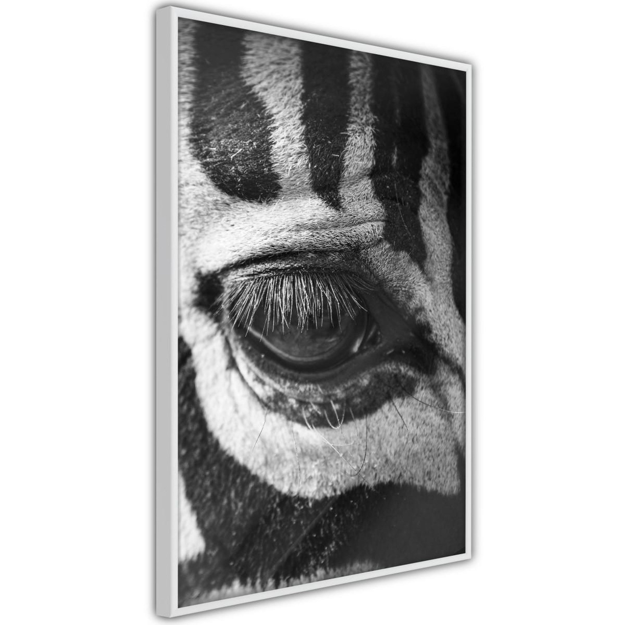 Paris Prix Affiche Murale Encadrée  Zebra Is Watching You