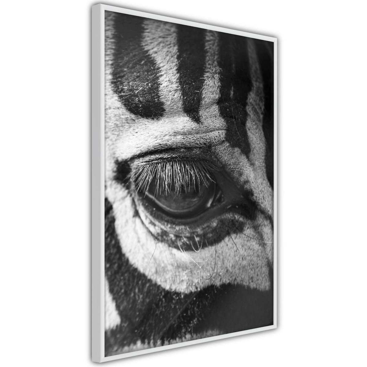 Paris Prix Affiche Murale Encadrée  Zebra Is Watching You