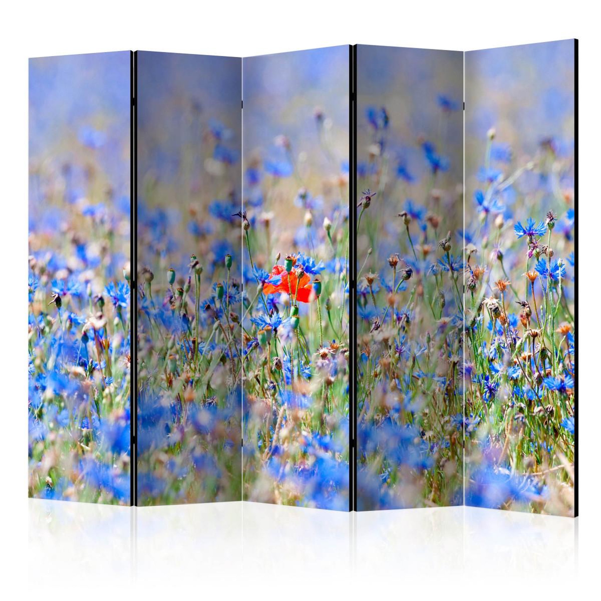 Paris Prix Paravent 5 volets  a sky colored meadow cornflowers  172x225cm