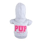 DIVERS Sweat à capuche pour chien Pup - Taille S. Coloris disponibles : Bleu, Gris
