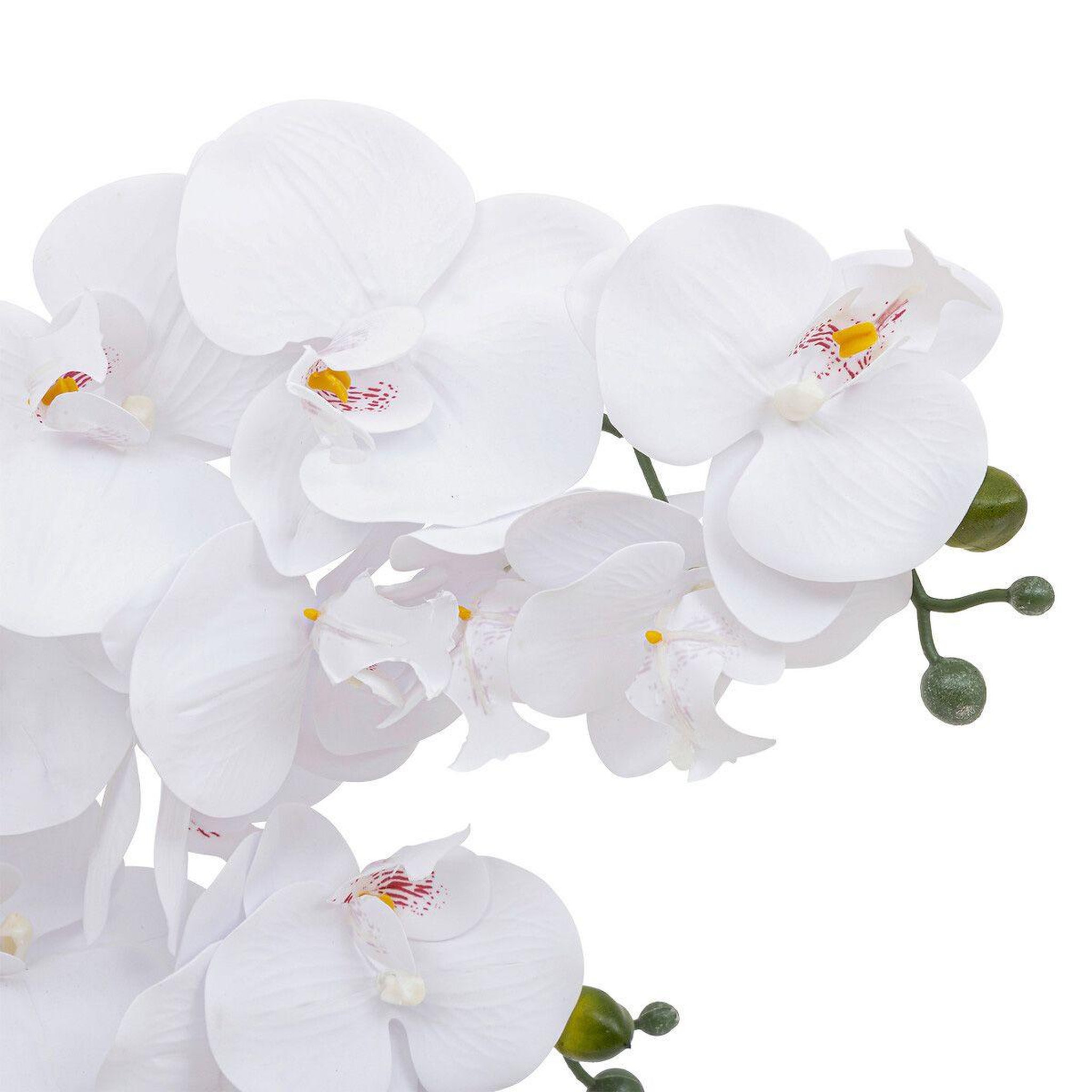 Voir la diapositive 2 : ATMOSPHERA Orchidée artificielle en pot  riva  60cm blanc