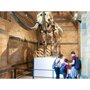 Smartbox Visite guidée du musée d'histoire naturelle de Londres en duo - Coffret Cadeau Sport & Aventure