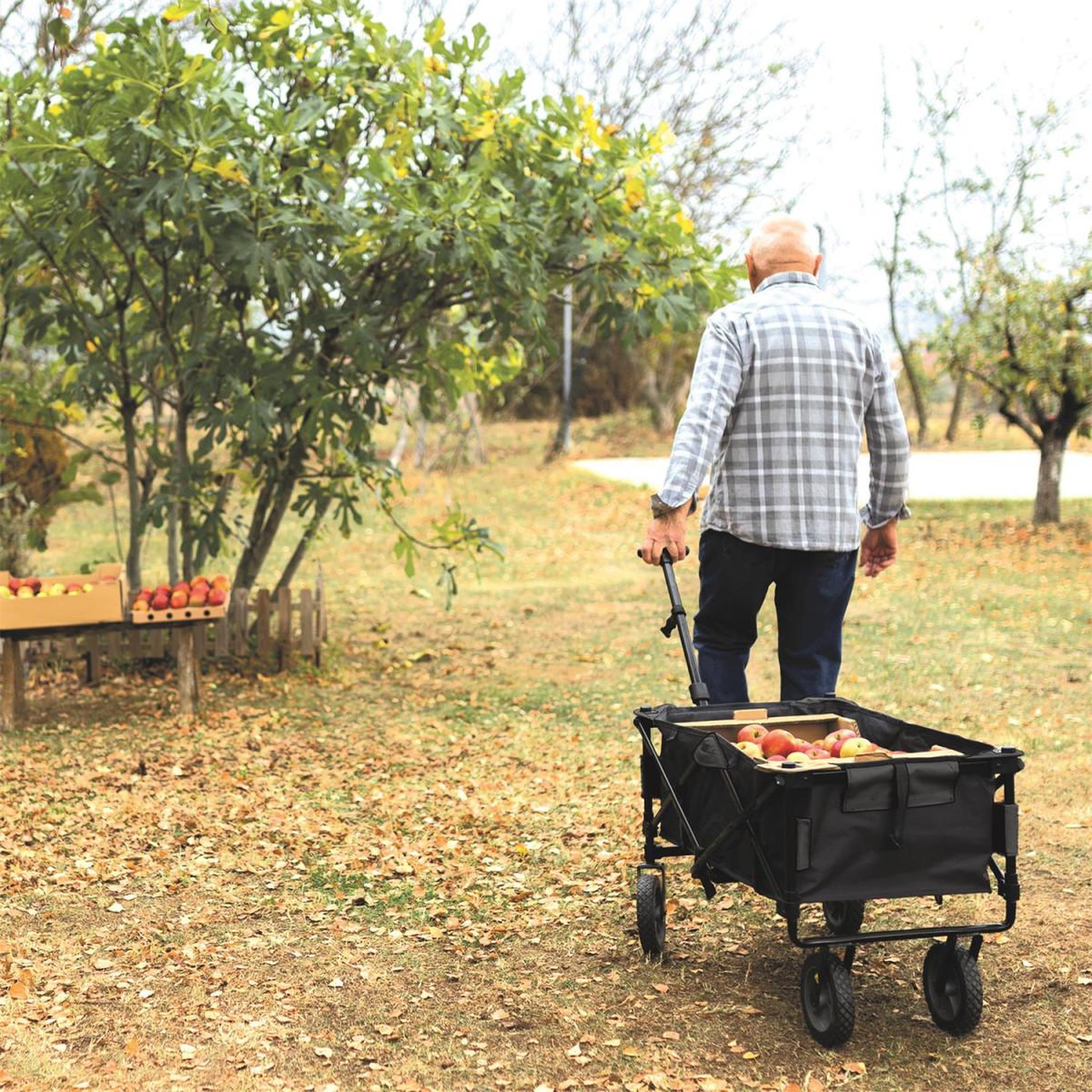 Voir la diapositive 4 : Je cherche une idee Chariot de transport pliable  tout terrain  91cm noir