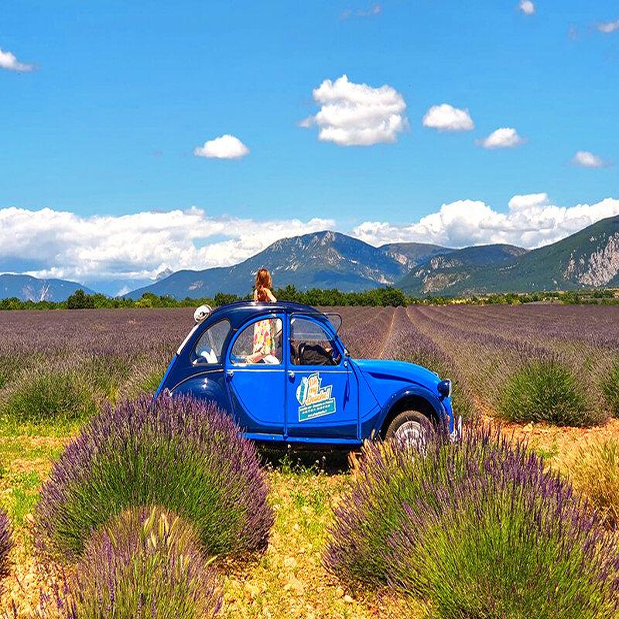 Voir la diapositive 2 : Smartbox Balade vintage en 2 cv dans les champs de lavande et visite de distillerie - coffret cadeau sport & aventure