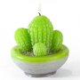 Graine créative Kit de fabrication Bougies Cactus