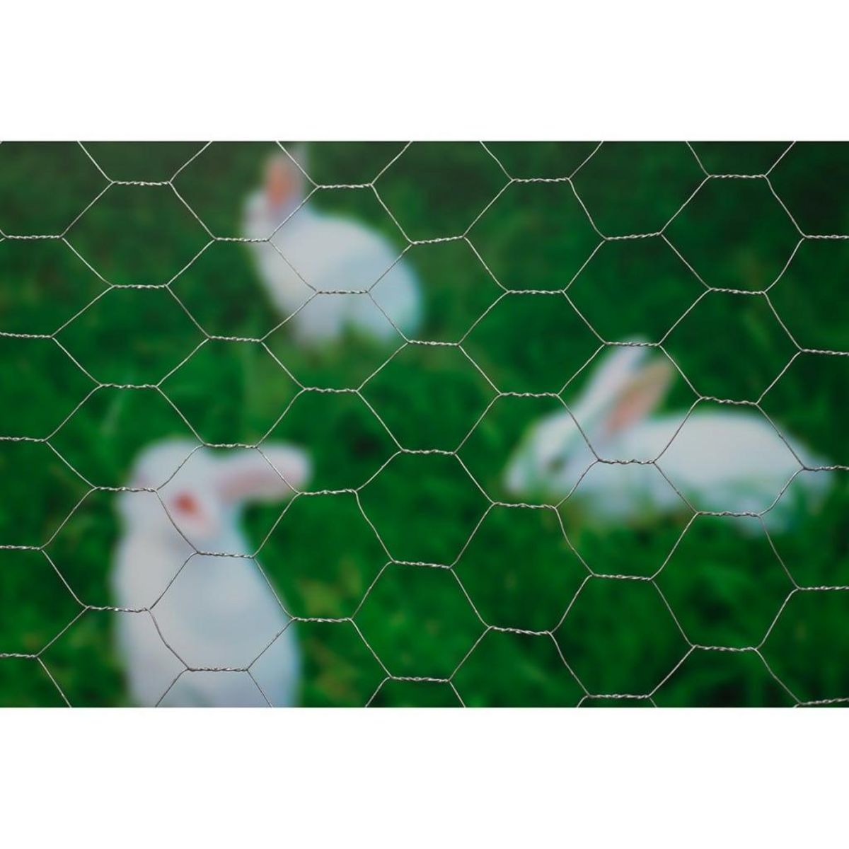 NATURE Nature Grillage metallique hexagonal 1 x 10 m 25 mm Acier galvanise