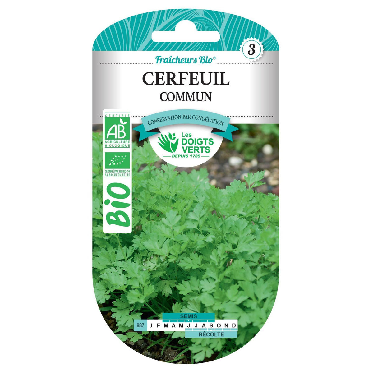 LES DOIGTS VERTS Graines cerfeuil commun BIO Les Doigts Verts