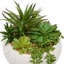 Voir la diapositive 2 : ATMOSPHERA Plante Grasse Artificielle  Jesty  21cm Multicolore