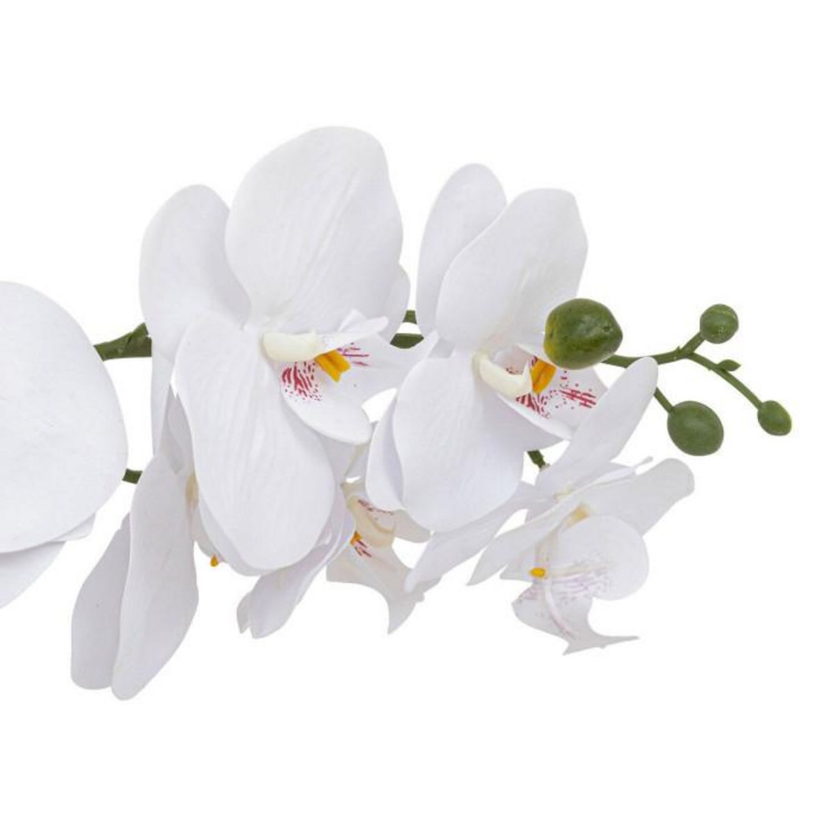 ATMOSPHERA Orchidée Artificielle en Pot  Clera  52cm Blanc