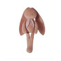 Voir la diapositive 1 : Kaloo Doudou Pantin Lapin Terracota 80 cm