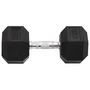 Voir la diapositive 4 : VIDAXL Halteres 2 pcs 30 kg Total Fonte