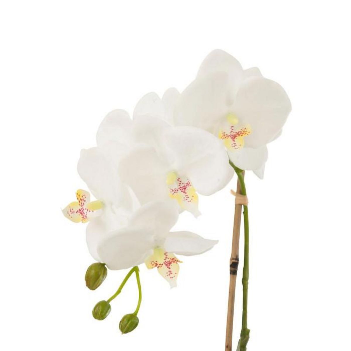Paris Prix Fleur Artificielle Déco  Orchidée en Terre  40cm Blanc