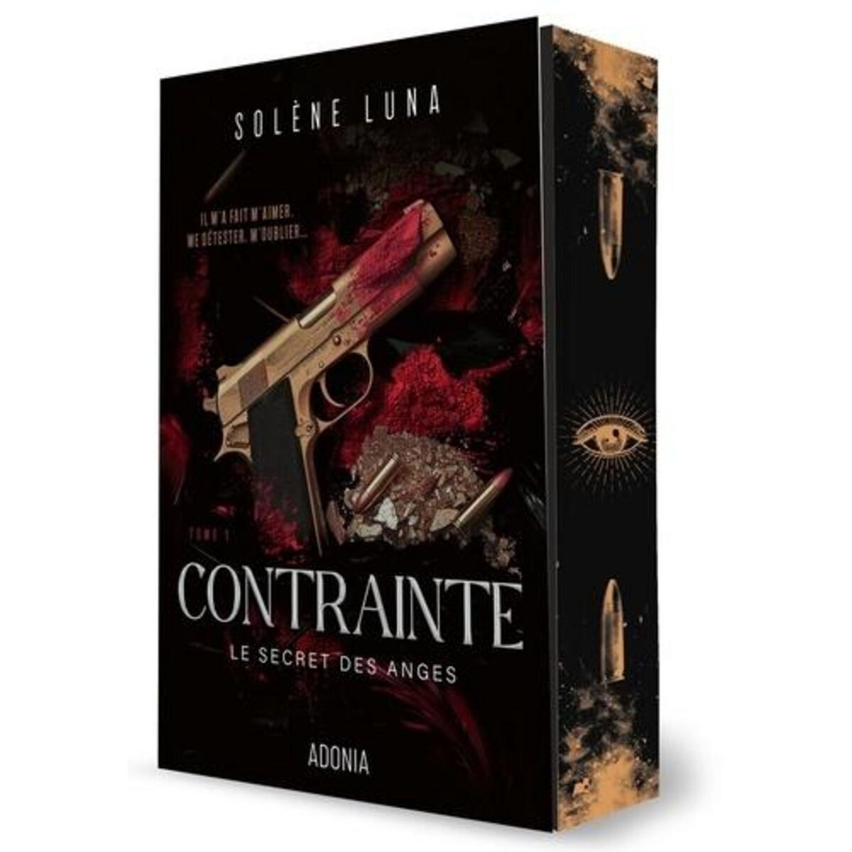 LE SECRET DES ANGES TOME 1 , Luna Solène