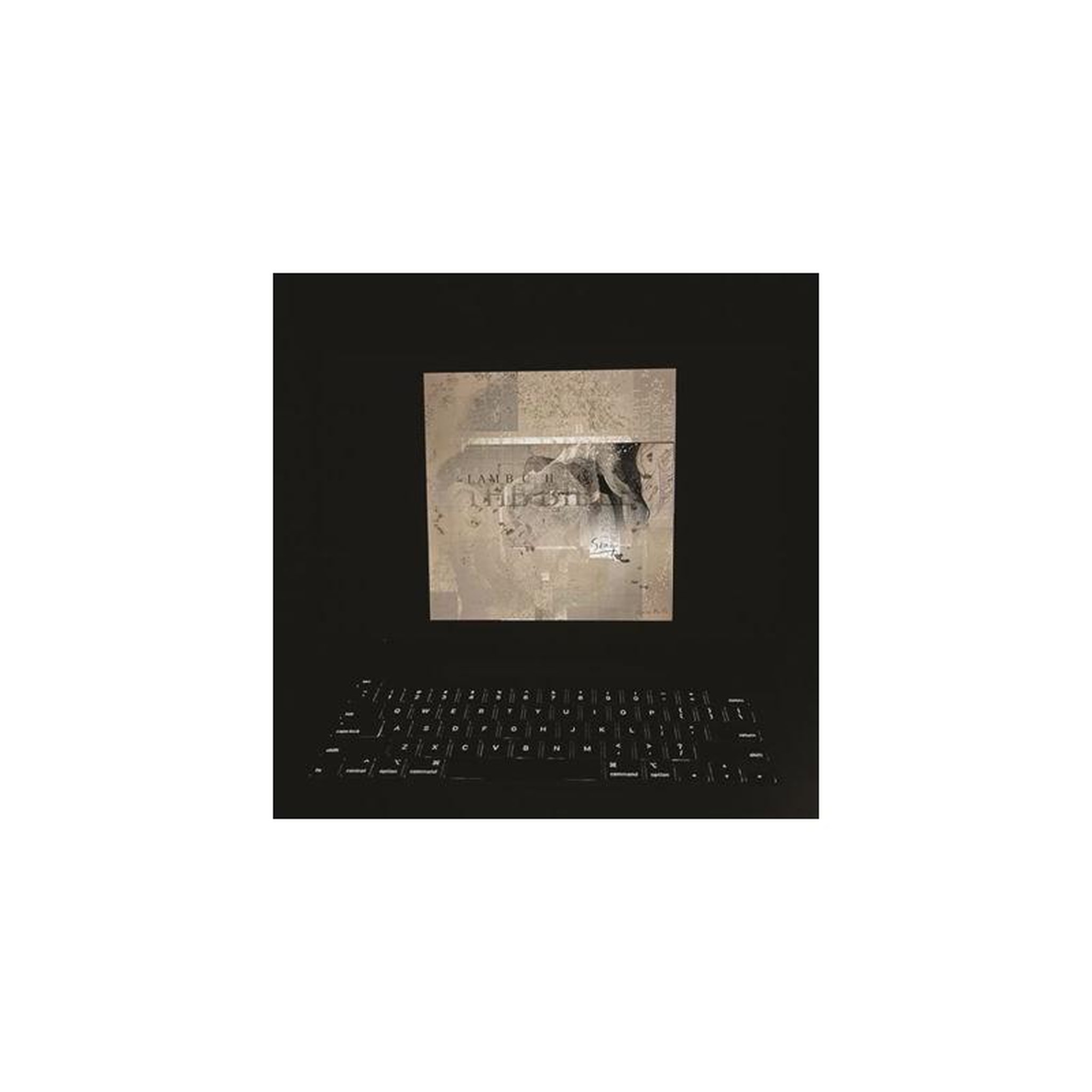 Double vinyle 2lp gatefold lambchop – the bible, 10 titres, americana