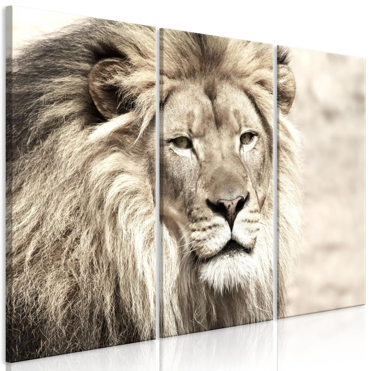 Paris Prix Tableau 3 Panneaux  The King of Beasts Beige
