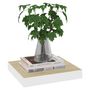 Voir la diapositive 3 : VIDAXL Etageres murales 2 pcs Chene et blanc 23x23,5x3,8 cm MDF