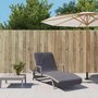 Voir la diapositive 1 : VIDAXL Serviettes de plage 2 pcs anthracite 75x200 cm tissu 400 GSM