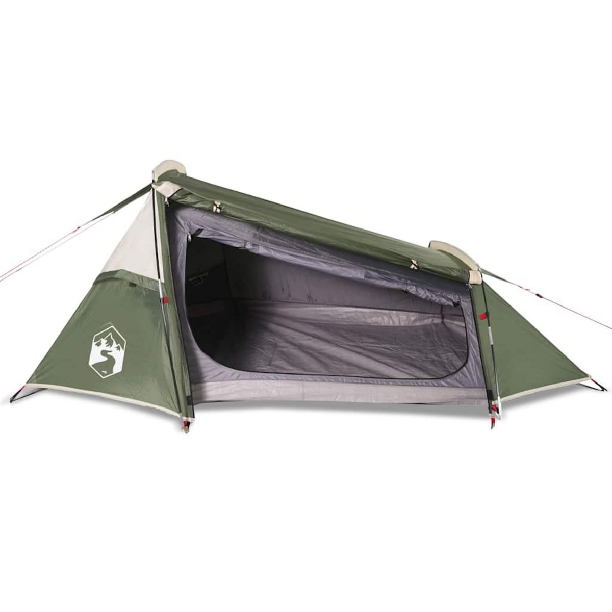VIDAXL Tente de camping tunnel 2 personnes vert impermeable