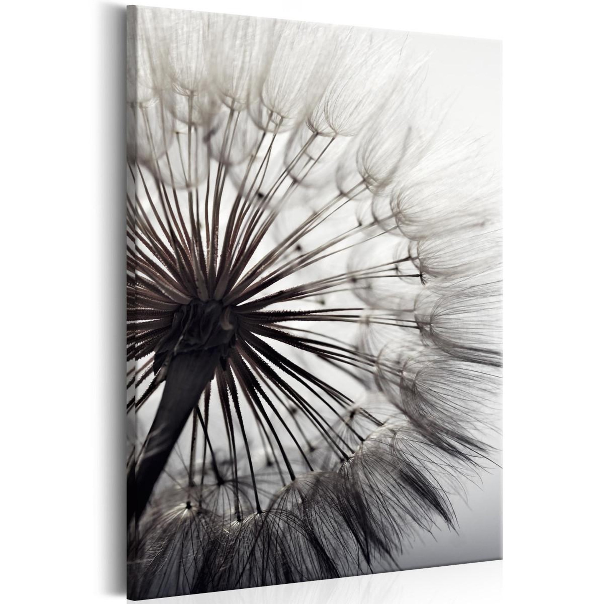 Voir la diapositive 1 : Paris Prix Tableau imprimé  pure delicacy  40x60cm