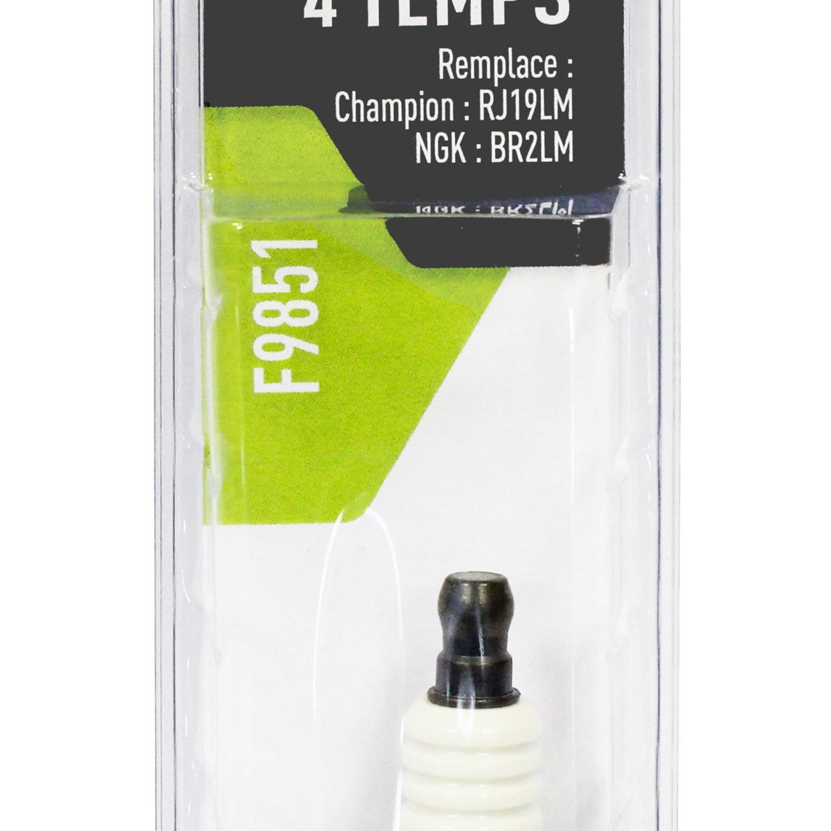 GARDY PARTS Bougie d'allumage pour moteur Briggs