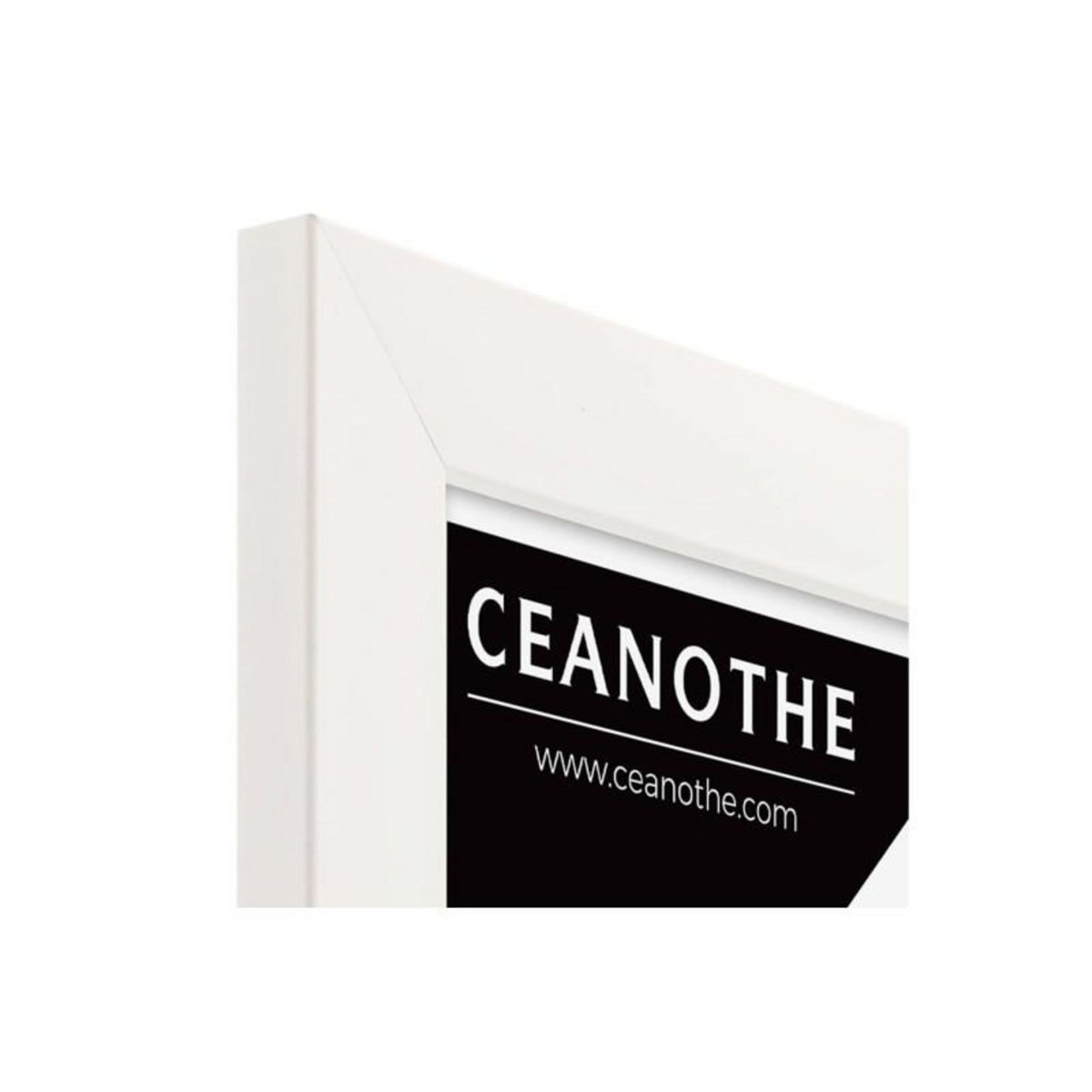 CEANOTHE Cadre Ceanothe CADRE 24X30 ETERNEL BLANC