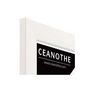 Voir la diapositive 4 : CEANOTHE Cadre Ceanothe CADRE 24X30 ETERNEL BLANC