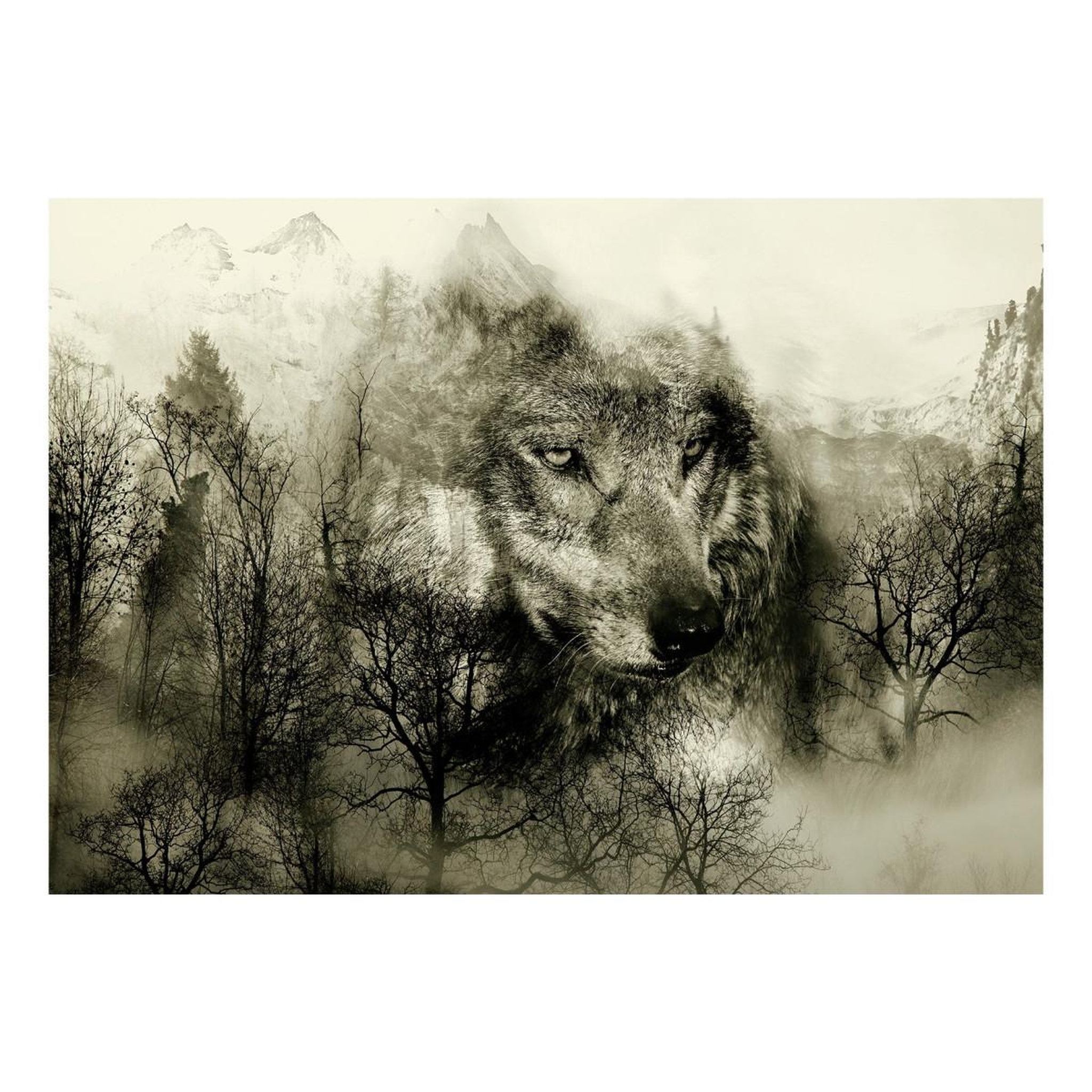 Voir la diapositive 2 : Paris Prix Papier peint  mountain predator beige