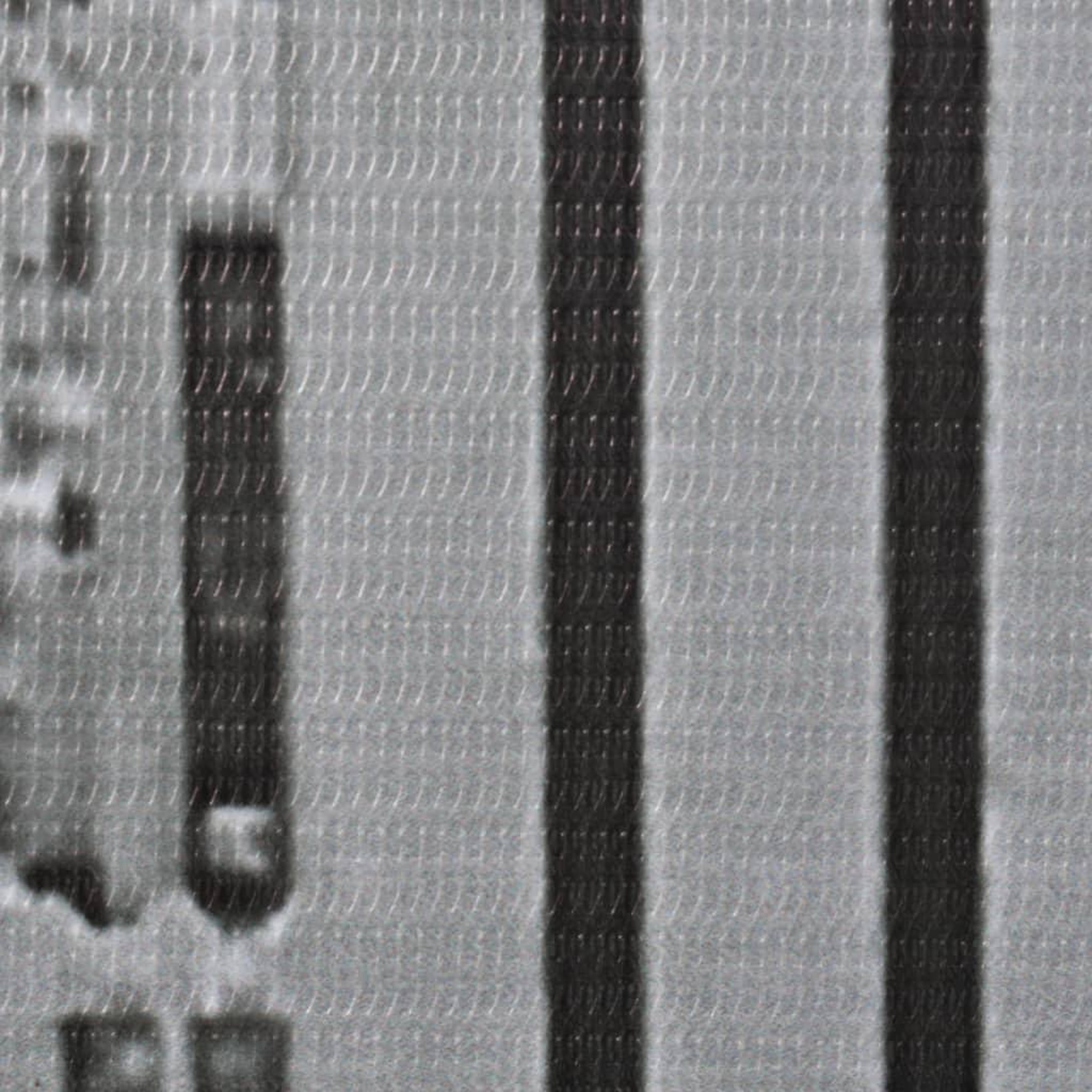 Voir la diapositive 4 : VIDAXL Cloison de separation pliable 228x170 cm New York Noir et blanc