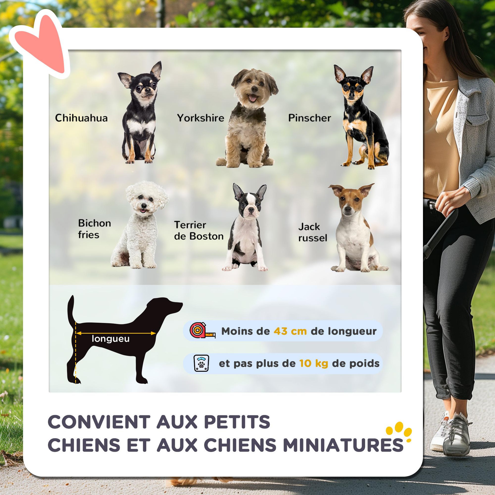 Voir la diapositive 4 : PAWHUT Poussette buggy pliable chien chat panier et sac de rangement attaches sécurité housse réglable poignée réglable acier oxford noir