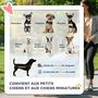 Voir la diapositive 4 : PAWHUT Poussette buggy pliable chien chat panier et sac de rangement attaches sécurité housse réglable poignée réglable acier Oxford noir