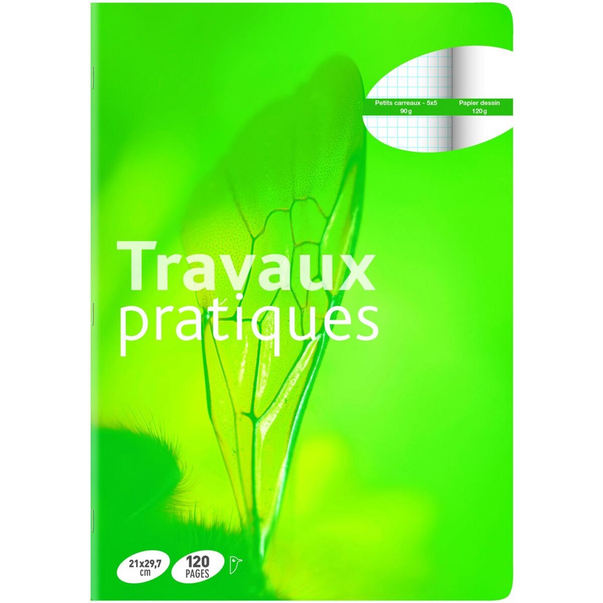 Cahier De Travaux Pratiques - CALLIGRAPHE - 17x22 Cm - 32 Pages