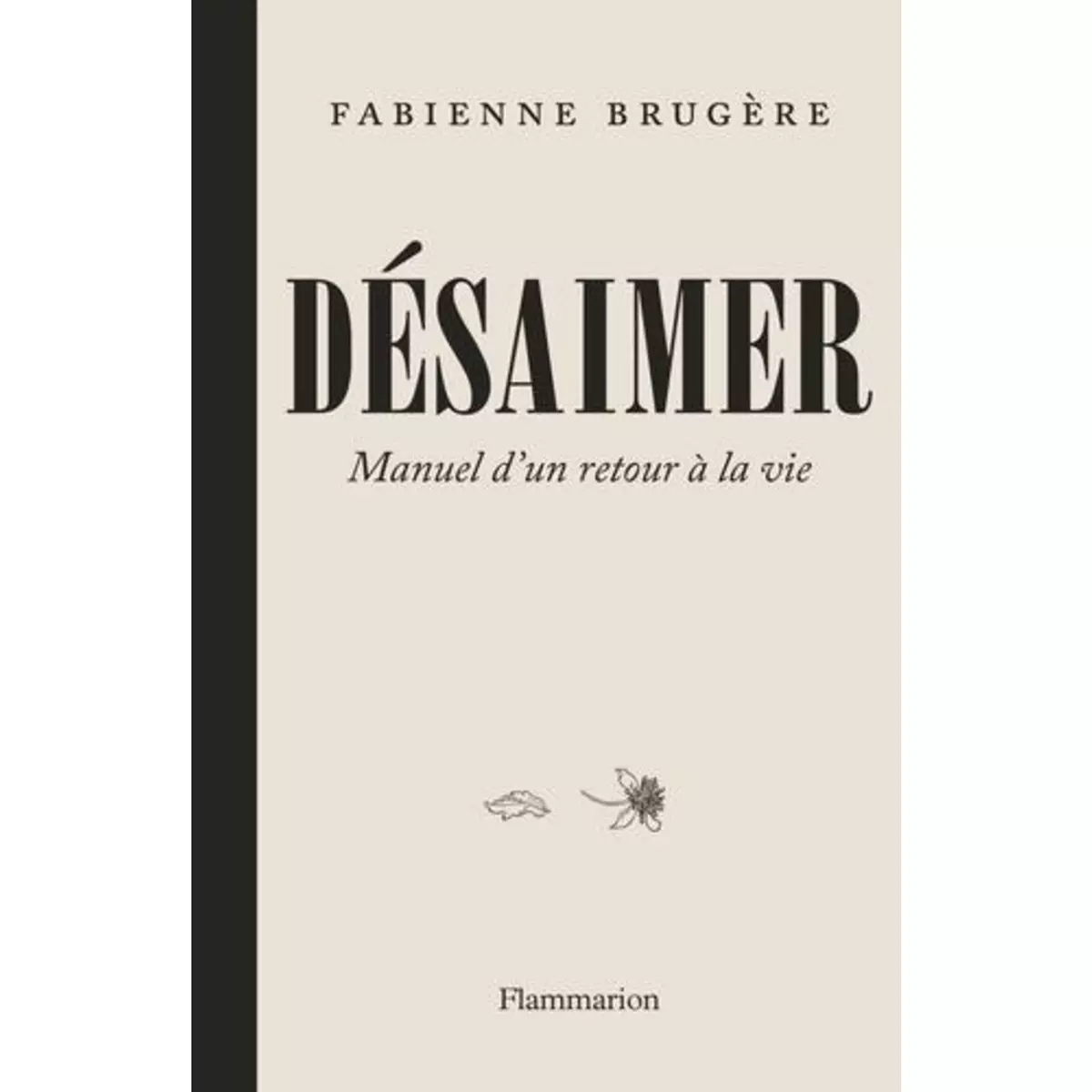  DESAIMER. MANUEL D'UN RETOUR A LA VIE, Brugère Fabienne