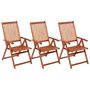 Voir la diapositive 1 : VIDAXL Chaises pliables de jardin lot de 3 Bois d'acacia solide