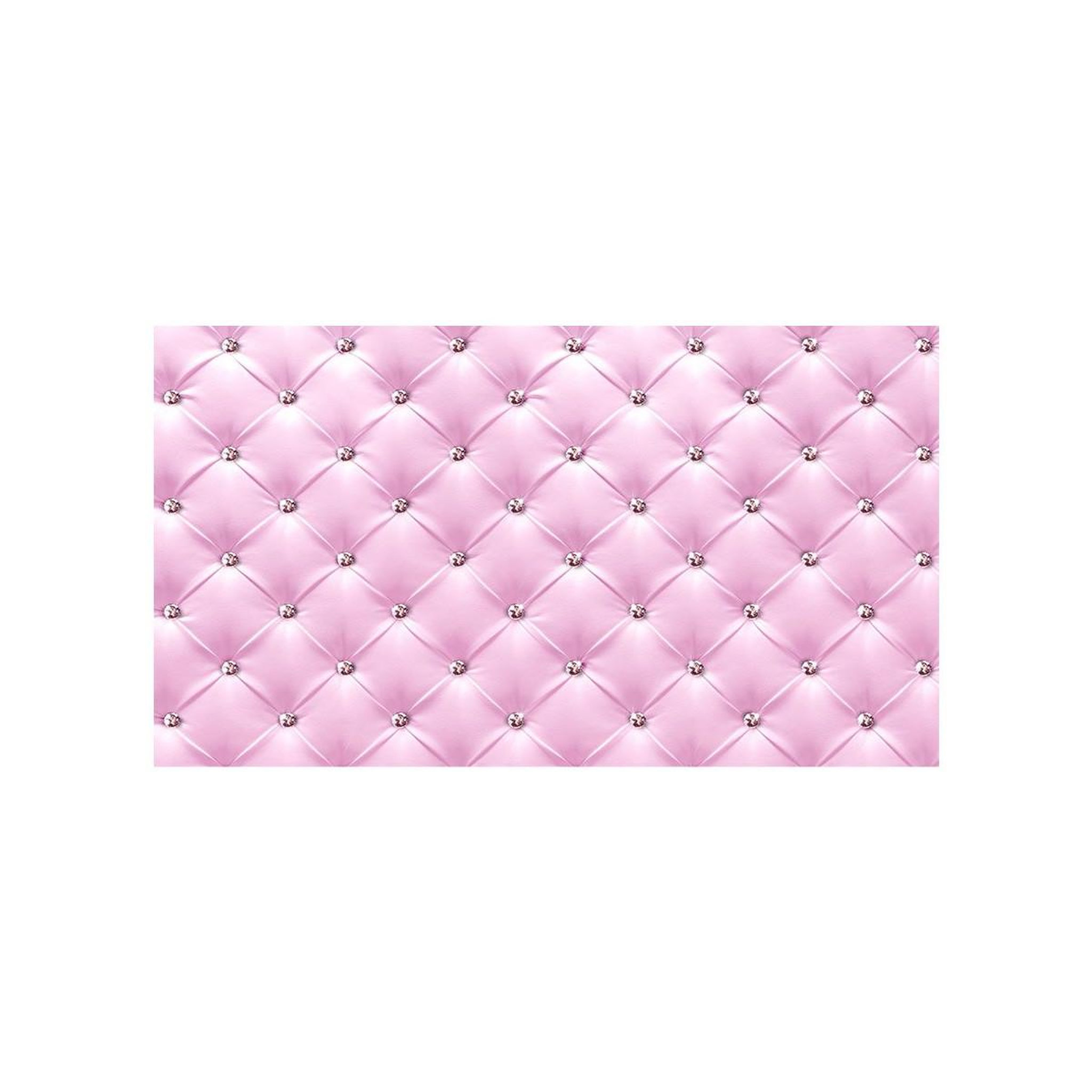 Voir la diapositive 2 : Paris Prix Papier peint xxl  pink elegance  280x500cm