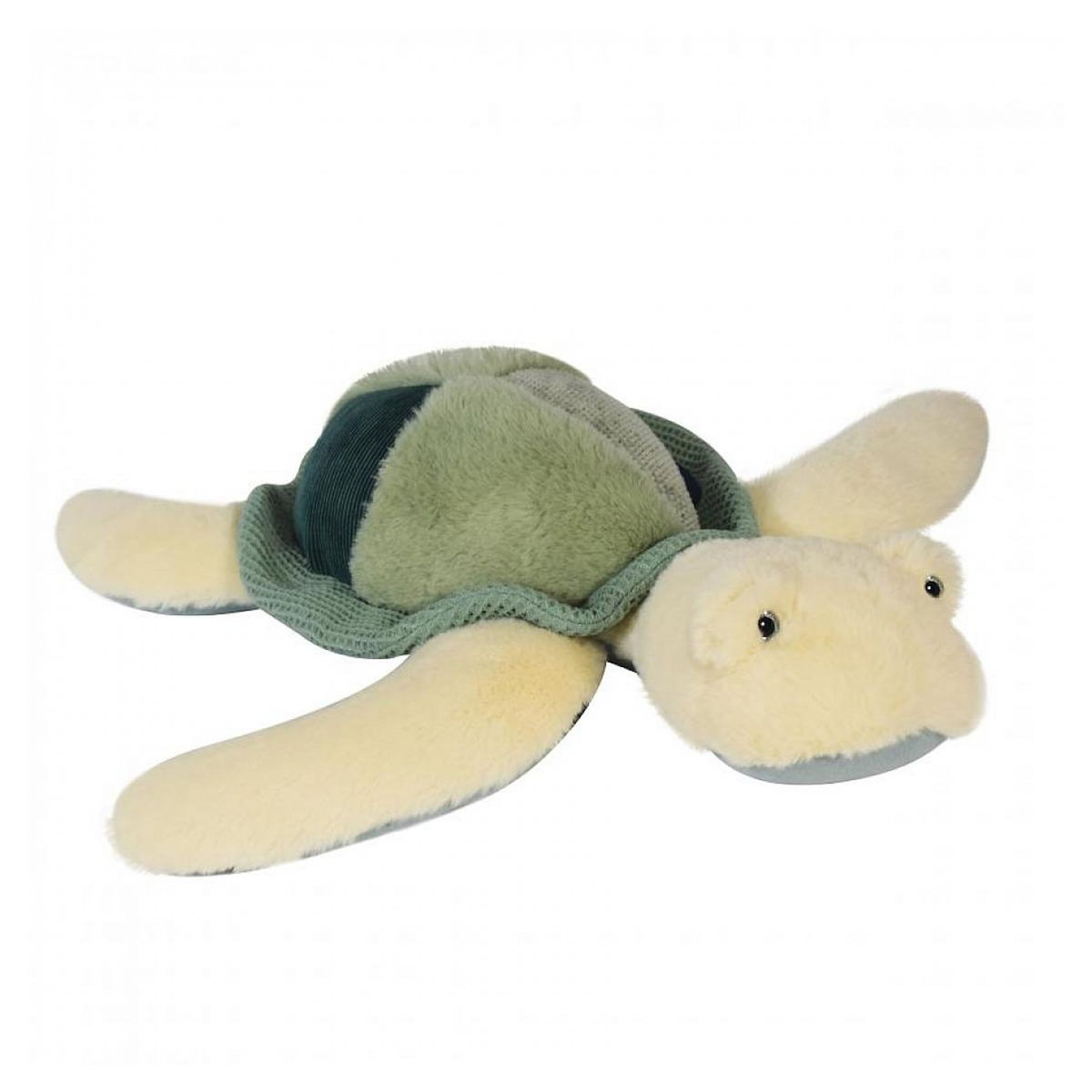 Histoire D'Ours Peluche - Tortue de mer verte