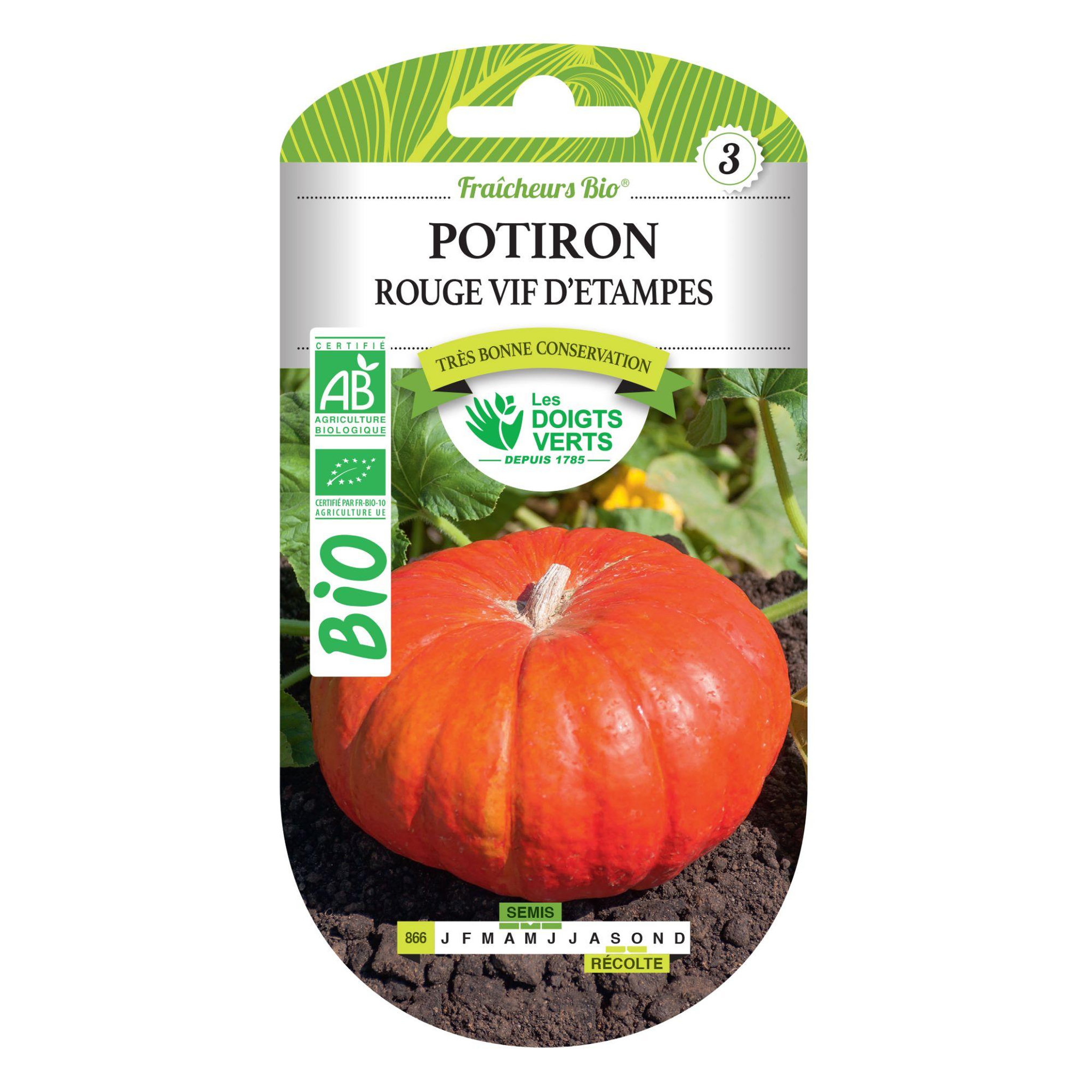 Voir la diapositive 1 : LES DOIGTS VERTS Graines potiron rouge vif d'Étampes BIO Les Doigts verts