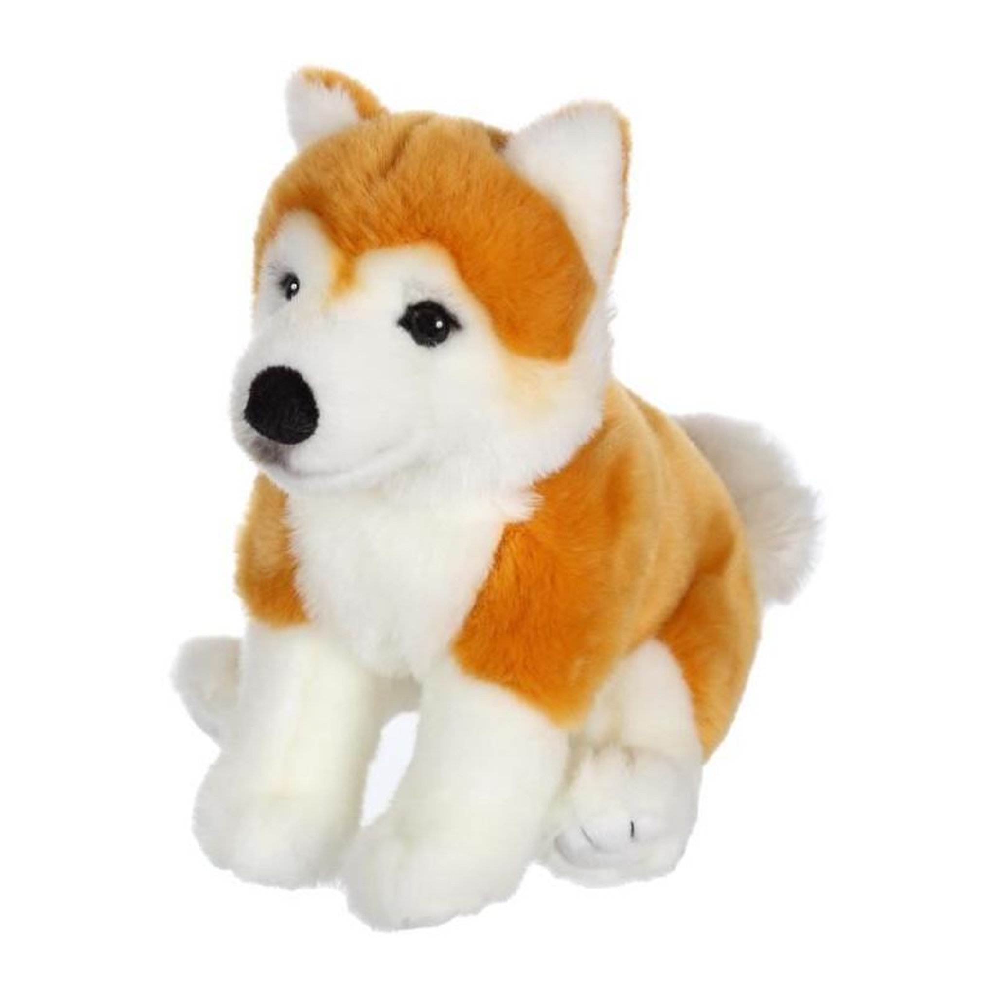 TOYS TOYS Peluche Chien Shiba - GIPSY TOYS - Assis, 25 cm