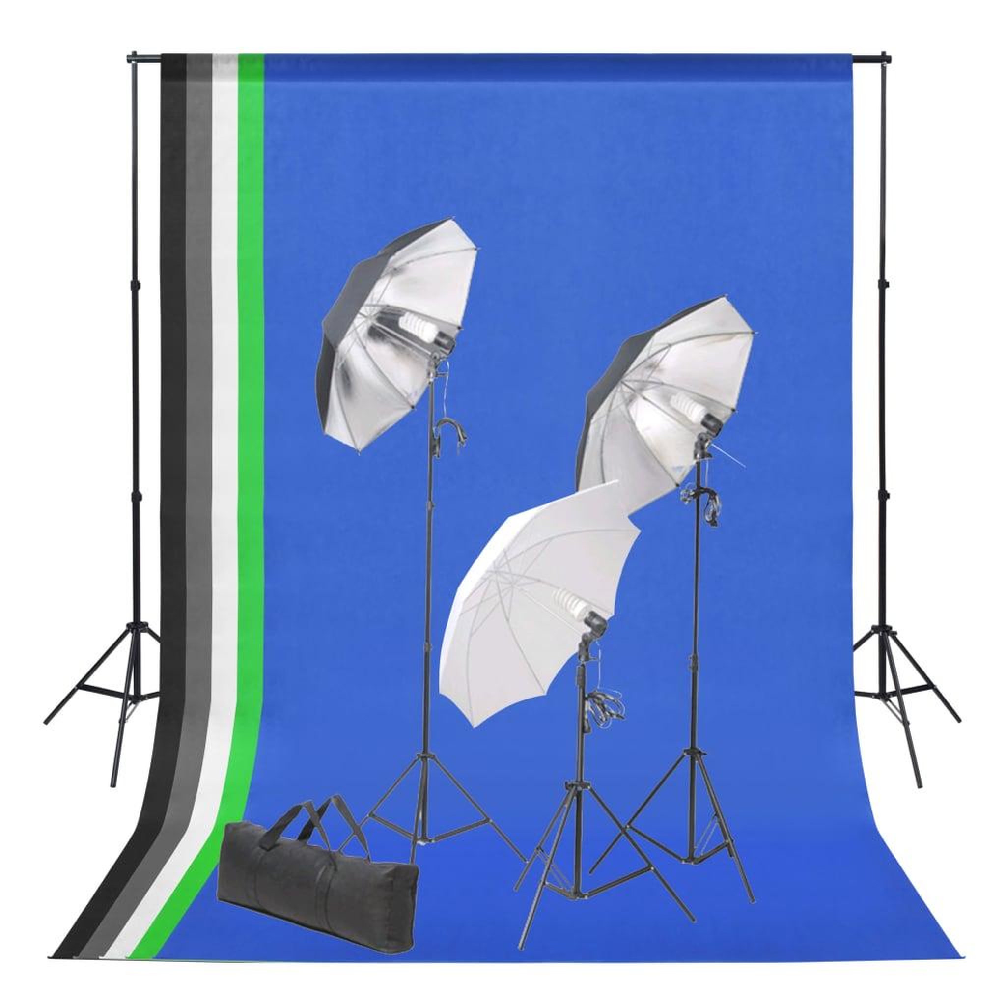 VIDAXL Kit de studio photo avec toile de fond et jeu d'eclairage