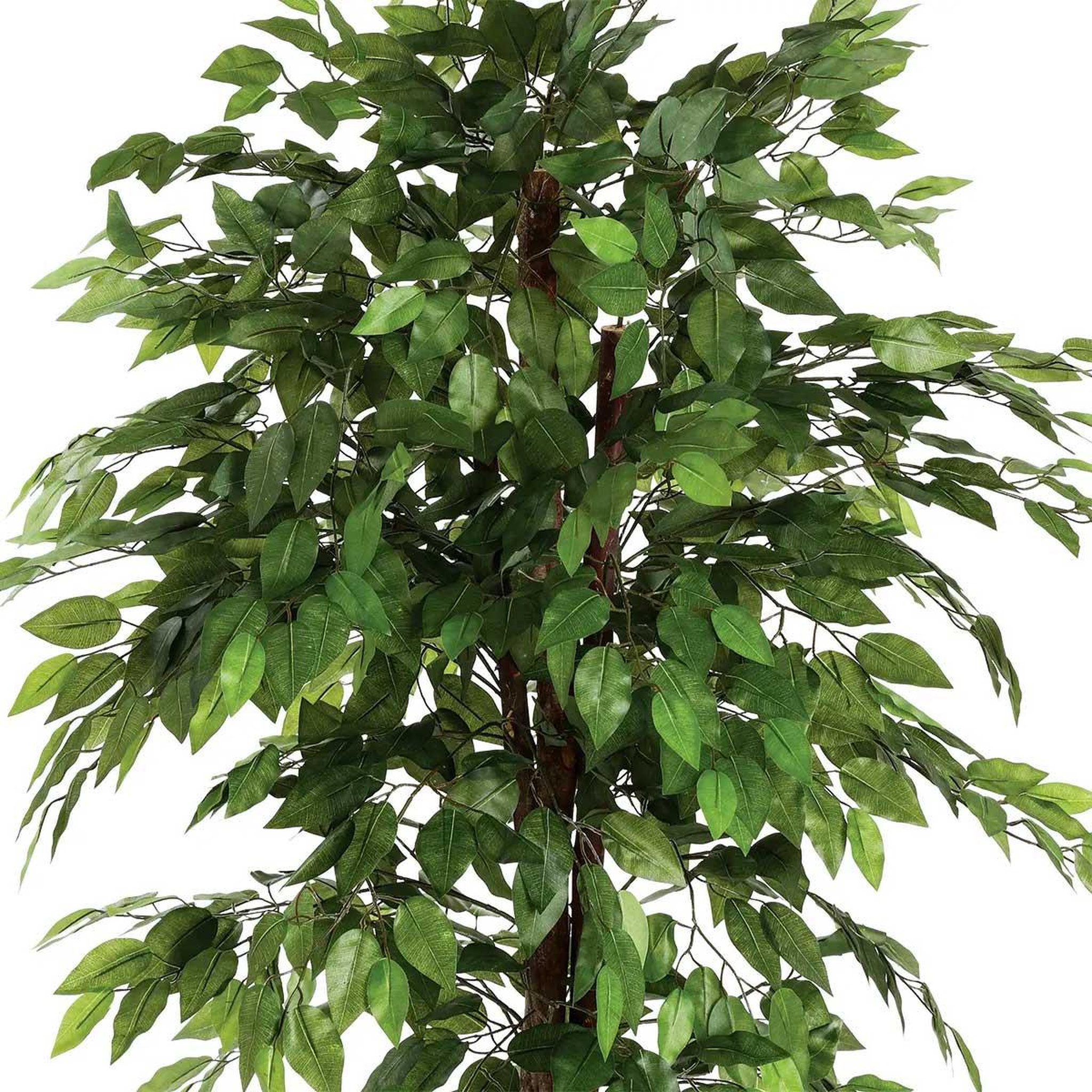 Voir la diapositive 2 : ATMOSPHERA Plante artificielle  ficus  185cm vert