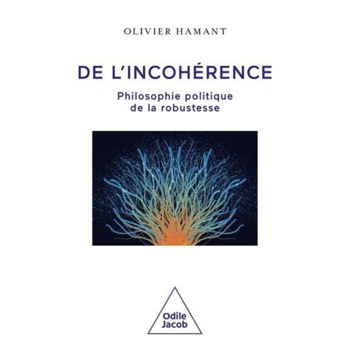 DE L'INCOHERENCE. PHILOSOPHIE POLITIQUE DE LA ROBUSTESSE, Hamant Olivier