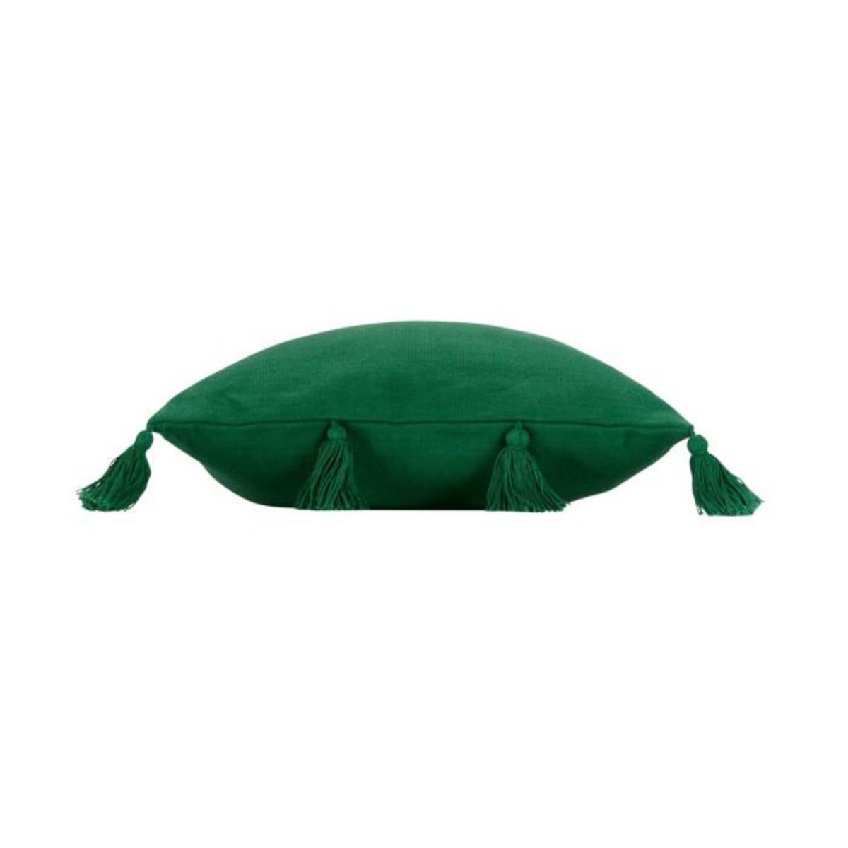 Paris Prix Coussin Déco à Pompons  Tasselina  45x45cm Vert