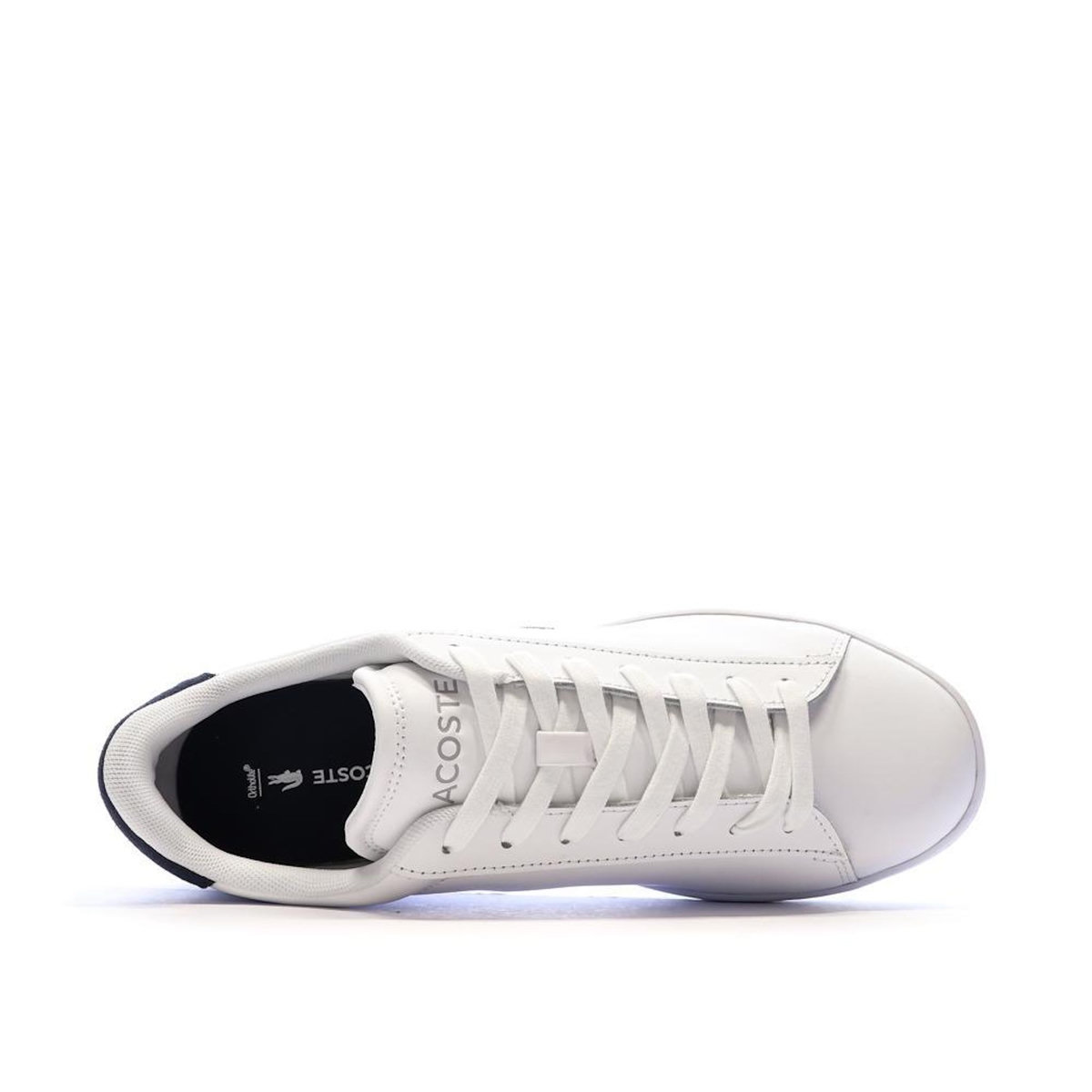 Lacoste Baskets Blanches Homme Lacoste Carnaby Set 224 1 Sma