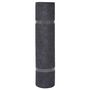 Voir la diapositive 2 : VIDAXL Tapis strie pour exposition 1,2x10 m Anthracite