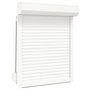 Voir la diapositive 2 : VIDAXL Volet roulant aluminium 70x100 cm blanc
