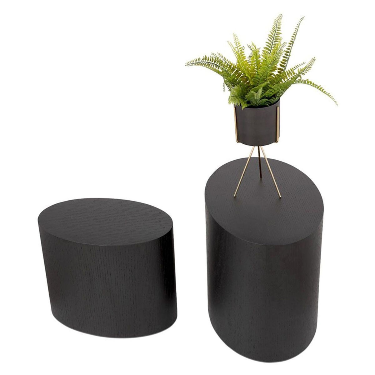Paris Prix Lot de 2 Tables d'Appoint en Bois  Ibla  48cm Noir