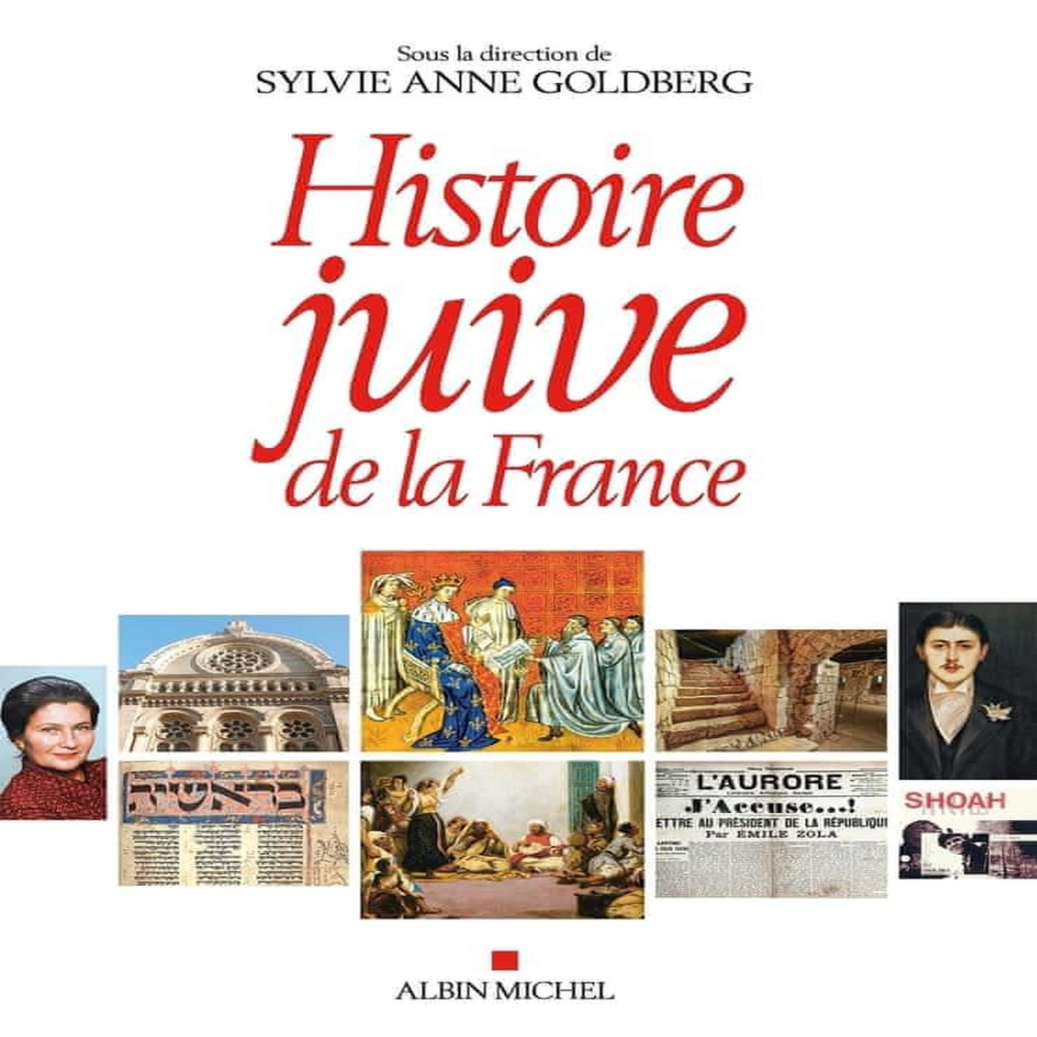 HISTOIRE JUIVE DE LA FRANCE, Goldberg Sylvie Anne