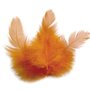 Graine créative Plumes de coq 10 cm - orange