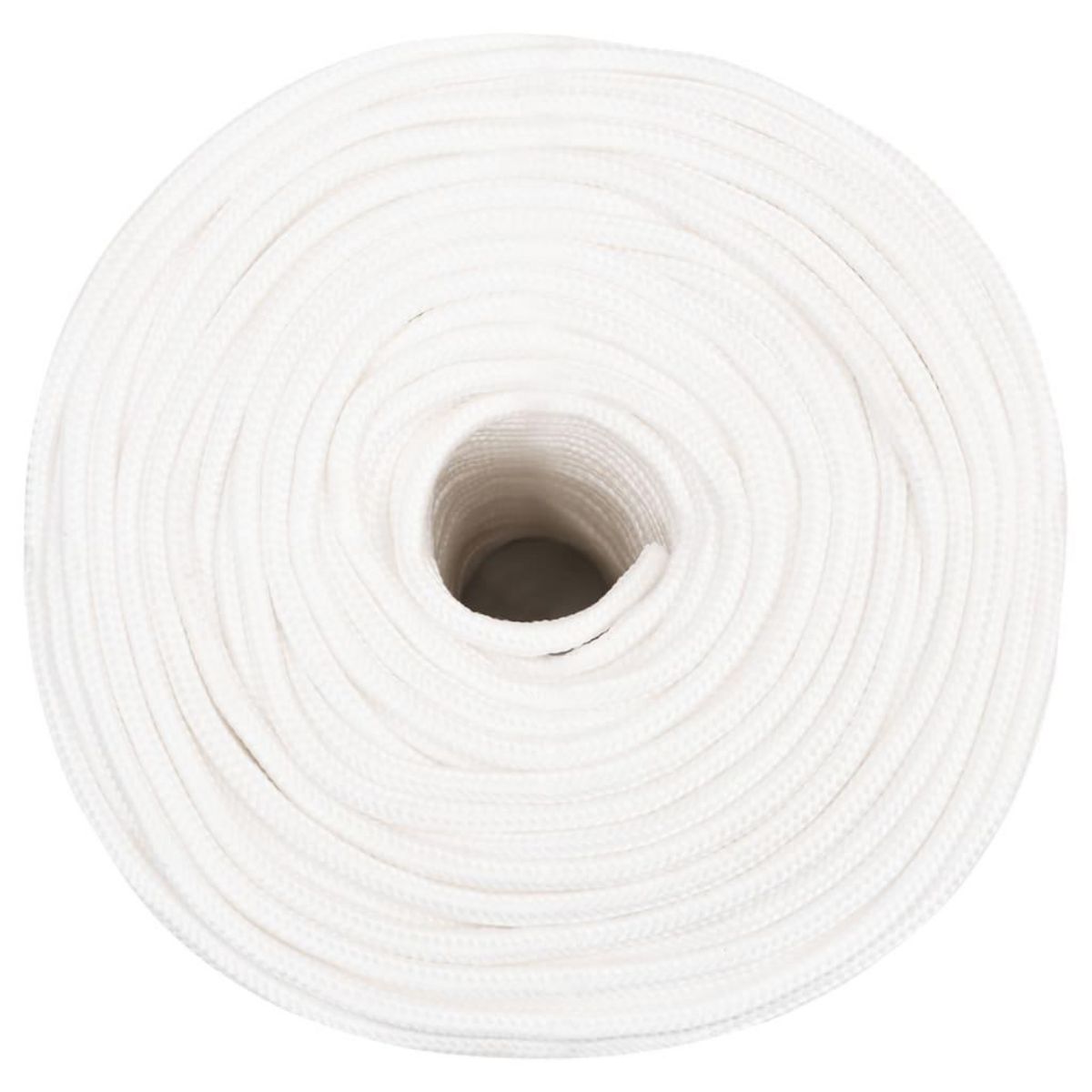 VIDAXL Corde de bateau Blanc complet 8 mm 100 m Polypropylene