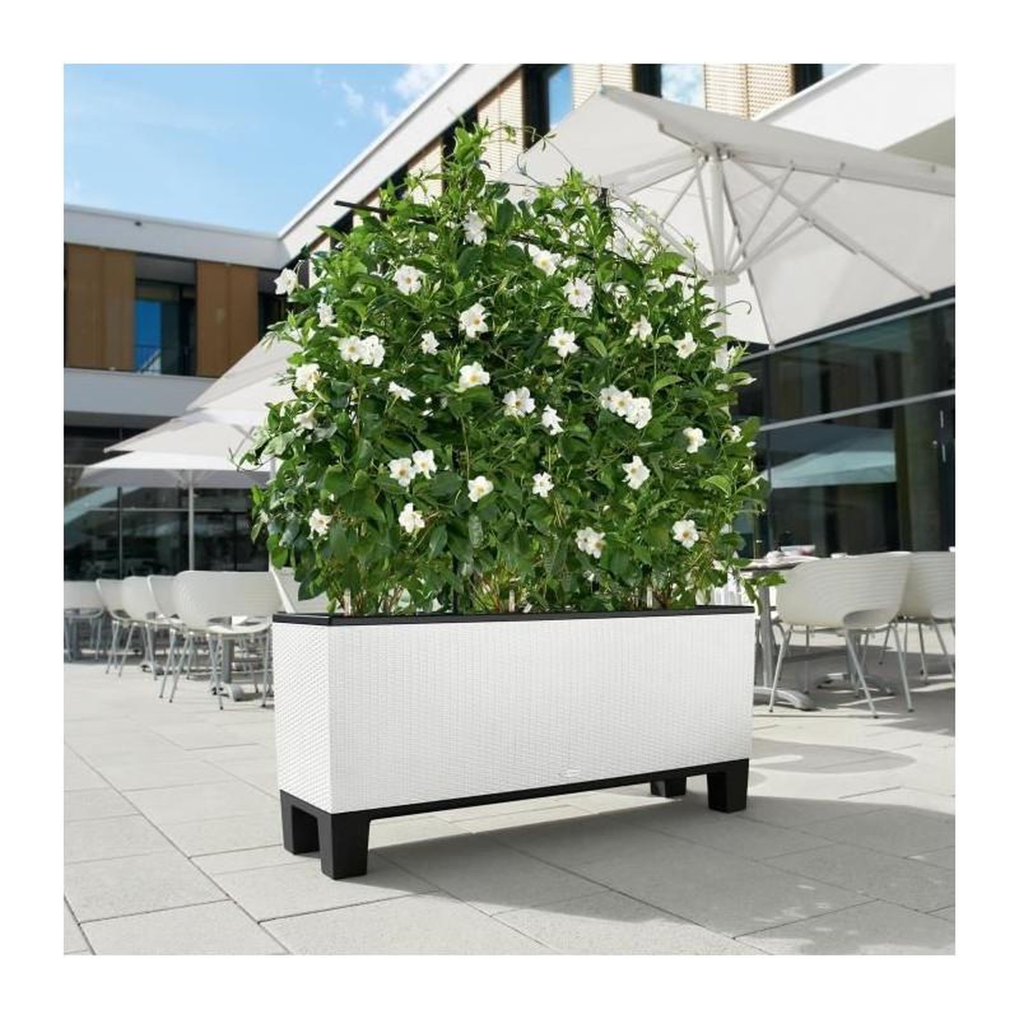 Voir la diapositive 5 : LECHUZA Pot Trio Cottage 30 - kit complet, blanc - 100 cm