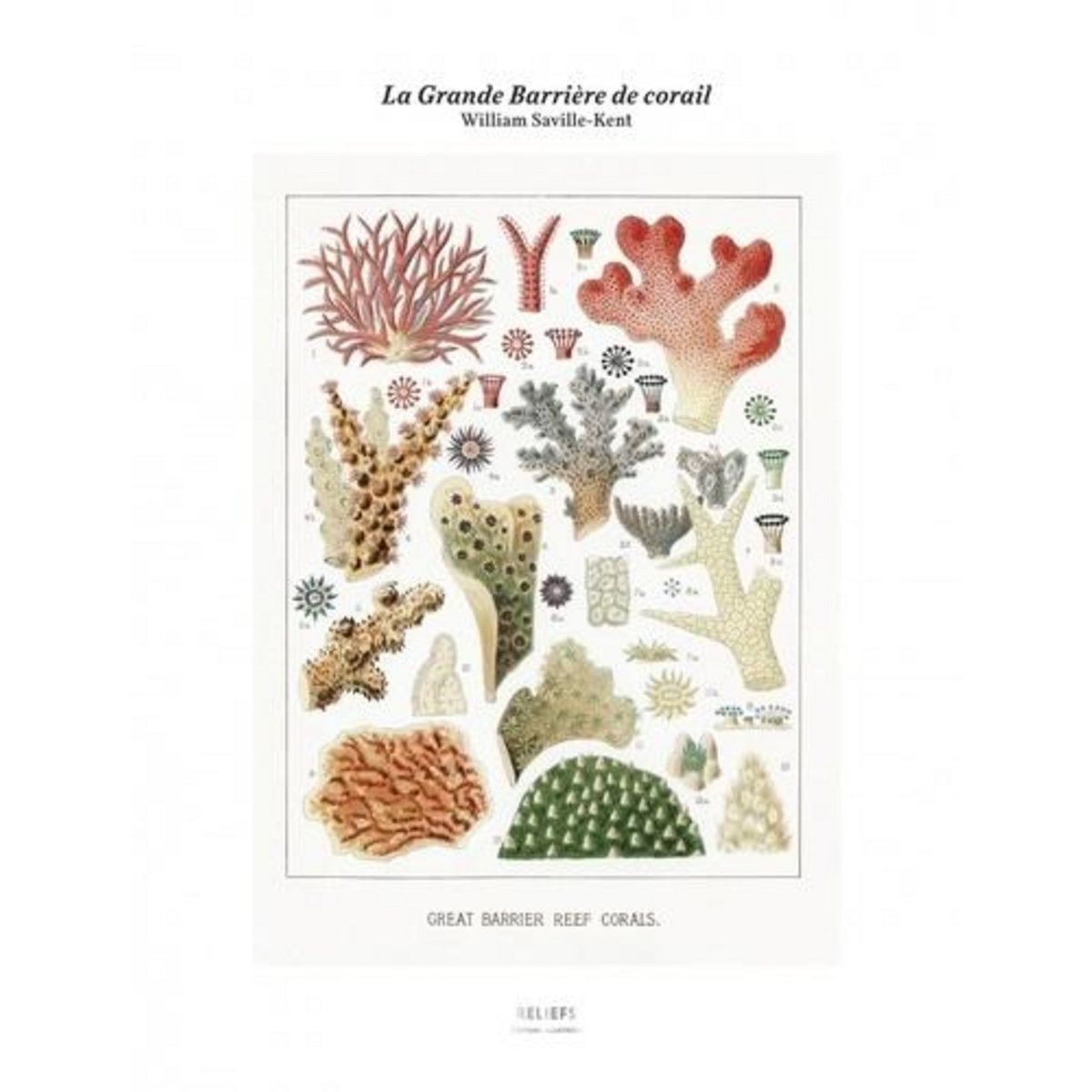 LA GRANDE BARRIERE DE CORAIL, Saville-Kent William